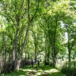 Epic Trip from Osh to Song Kol and Issyk Kul - Experiencing the Heart of Kyrgyz Culture