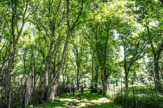 Epic Trip from Osh to Song Kol and Issyk Kul - Experiencing the Heart of Kyrgyz Culture