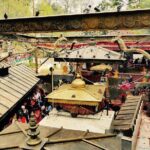 Escorted Full Day Pharping, Dakshinkali and Kirtipur Day Trip with Newari Lunch - Who Will Love This Tour?