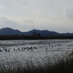 Essence Korea 3days Ptivate Tour(West/East) - Deep Dive into the Itinerary: What You’ll Actually Experience