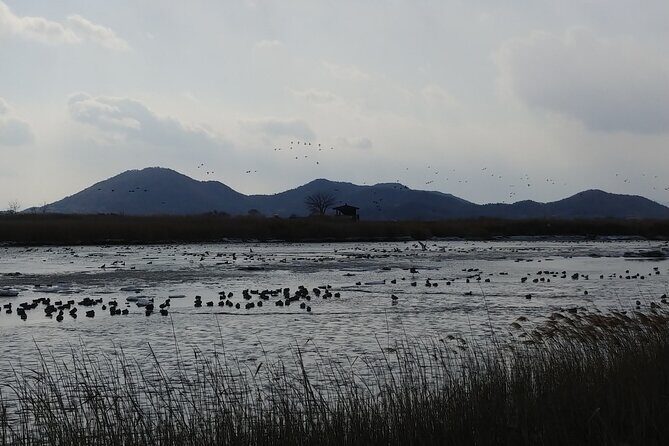 Essence Korea 3days Ptivate Tour(West/East) - Deep Dive into the Itinerary: What You’ll Actually Experience