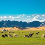 Essence of Mongolia 4 Days - A Detailed Look at Your 4-Day Mongolian Adventure