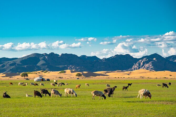 Essence of Mongolia 4 Days - A Detailed Look at Your 4-Day Mongolian Adventure