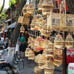 Essential Xi'an Private Day Tour Including Lunch - Practical Aspects of the Tour