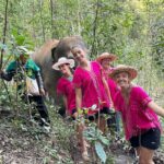 Ethical Elephant Observation Half Day from Chiang Mai - Transportation & Group Size