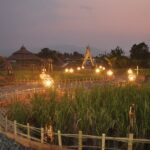 Evening Cooking Class in Organic Farm with Local Market Tour - Exploring the Experience: What You Can Expect