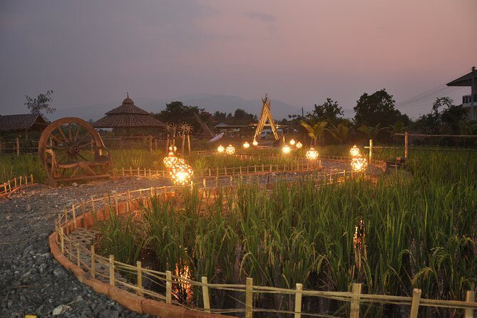 Evening Cooking Class in Organic Farm with Local Market Tour - Exploring the Experience: What You Can Expect