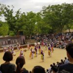 Everland Theme Park & Korean Folk Village tour (private group) - Frequently Asked Questions