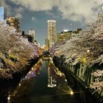 Exciting Evening of Eats in Tokyo - Exploring the Details: What Makes This Tour Special