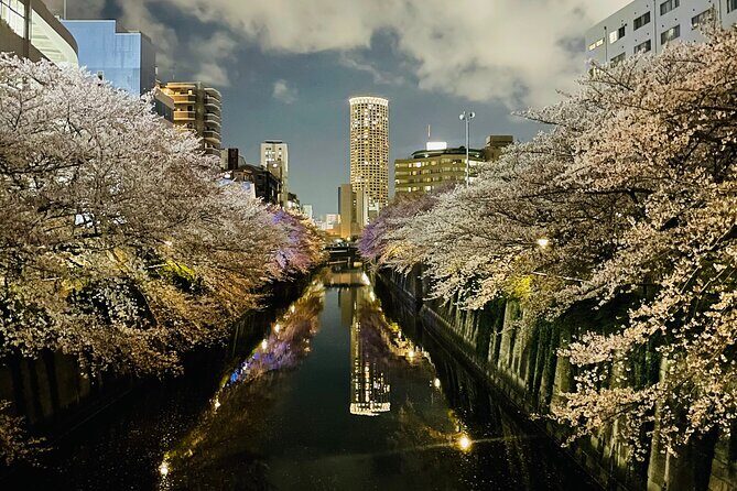 Exciting Evening of Eats in Tokyo - Exploring the Details: What Makes This Tour Special