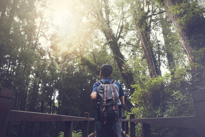 Exclusive 3-Day Sun Moon Lake & Alishan Private Tour - Who Should Book This Tour?