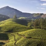 Exclusive, Backwater of Kerala Tour (04 Nights - 05 Days) - What Sets This Tour Apart