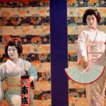 Exclusive Geisha PerformanceSake Tasting in a Tokyo Private Room - Key Points