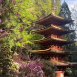 Exclusive Luxury Day Tours Serene Nara - Final Thoughts