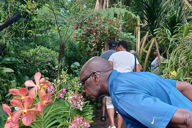 Exclusive Private Tour by a Singaporean Guide - What We Loved About This Tour