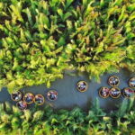 Experience Basket Boat Ride in Water Coconut Forest - Why This Tour Offers Value