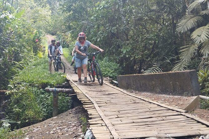 Experience Cycling Tour to Bali UNESCO Heritage Site in Jatiluwih - Who Should Consider This Tour?