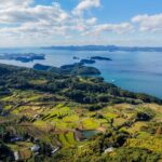 Experience farming (rice cultivation) in terraced rice paddies - Authenticity and Cultural Connection