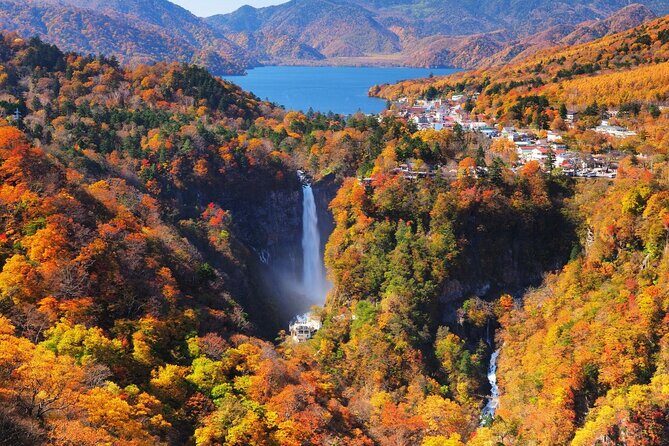 Experience Nature and Culture Private Day Tour in Nikko - What’s Included and What’s Not