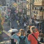 Experience Old Tokyo: Cultural Walk in Yanaka - FAQ