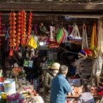 Experience Shanghai Like a Native A Day in Local Life - Who Will Enjoy This Tour?