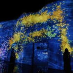 Experience TeamLab Planets in Tokyo - Authentic Experiences Based on Visitor Feedback