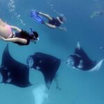 Explore 4 iconic snorkeling spots of Manta Bay in Nusa Penida - Practical considerations: Is this tour for you?