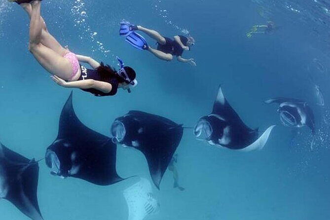 Explore 4 iconic snorkeling spots of Manta Bay in Nusa Penida - Practical considerations: Is this tour for you?
