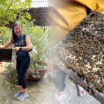 Explore Cai Rang Floating Market - 2 Days 1 Night Mekong Delta - Practical Details and What They Mean for You