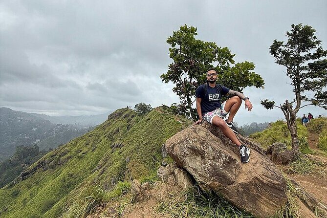 Explore Ella Highlights in a Private Guided Tour - Who Should Book This Tour?