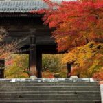 Explore Hidden Temples and Shrines in Kyoto - Authentic Experiences That You Wont Find on Main Tourist Trails