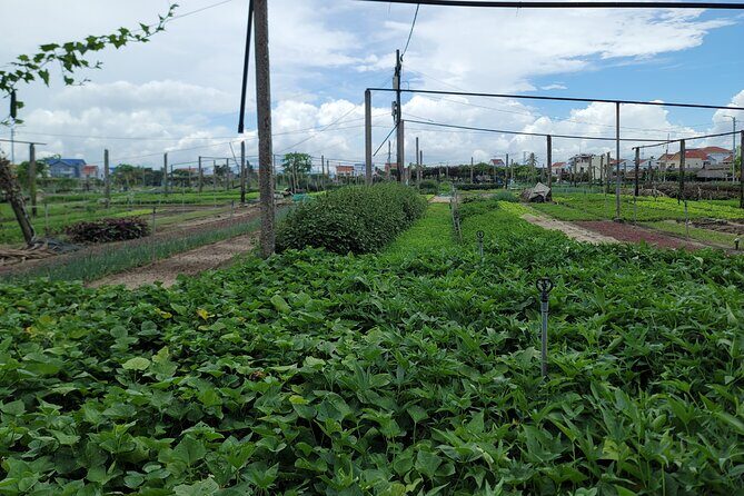 Explore Hoi An ancient town and local villages with a local guide - A Deep Dive into the Hoi An Experience
