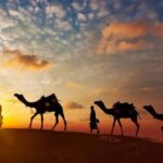 Explore Jaisalmer, Jodhpur & Udaipur in 7 Days - The Sum Up: Is This Tour Right for You?