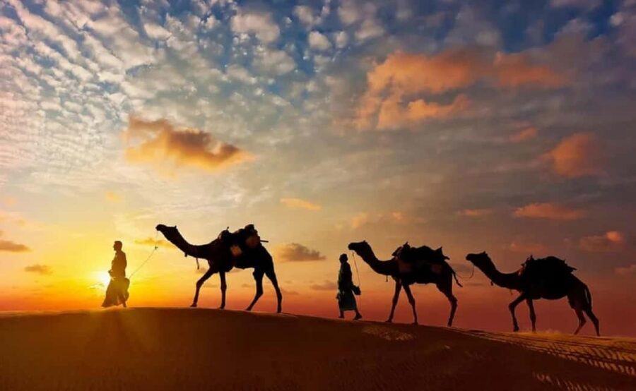 Explore Jaisalmer, Jodhpur & Udaipur in 7 Days - The Sum Up: Is This Tour Right for You?