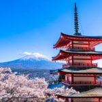 Explore Japan in 7 Days Cherry Blossom Tour 2026 - Transport and Accommodation: How It Works for You