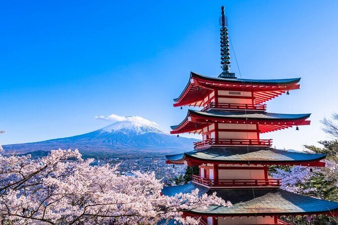 Explore Japan in 7 Days Cherry Blossom Tour 2026 - Transport and Accommodation: How It Works for You