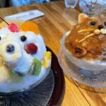 Explore Kagoshima Sightseeing Spots by Kagoshima City View Bus - FAQs about the Kagoshima City View Bus Tour