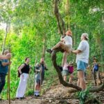 Explore Khao Sok: Jungle Safari in Thailands Pristine Rainforest - What We Love and What to Consider