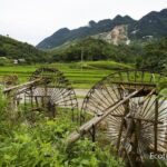 Explore Mai Chau - Pu Luong - Ninh Binh 4 Days / 3 Nights - Authenticity and Guides