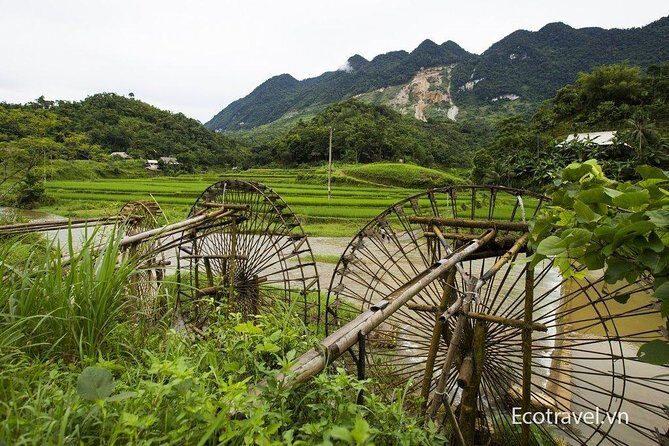 Explore Mai Chau - Pu Luong - Ninh Binh 4 Days / 3 Nights - Authenticity and Guides