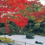 Explore Matsushima Bay with Guided Car Tour - Detailed Analysis: What Makes This Tour Stand Out