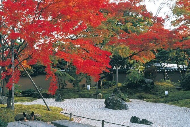 Explore Matsushima Bay with Guided Car Tour - Detailed Analysis: What Makes This Tour Stand Out