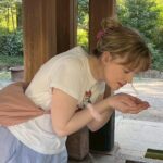 Explore Meiji Jingus Living Traditions with Student Historians - What to Expect & Practical Tips