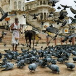 Explore Pushkar in a Day from Jaipur, Private Tour - A Complete Look at the Pushkar Day Trip from Jaipur