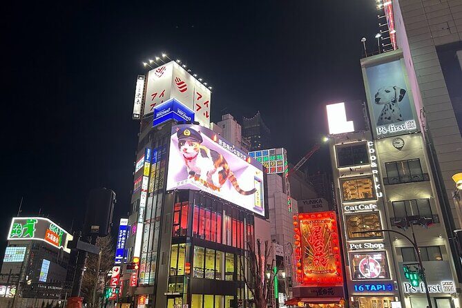 Explore Shinjuku by Night - What Makes This Tour Worthwhile