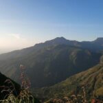 Explore the best of Ella. Hiking, waterfalls and cultural tour - Who Will Love This Tour?