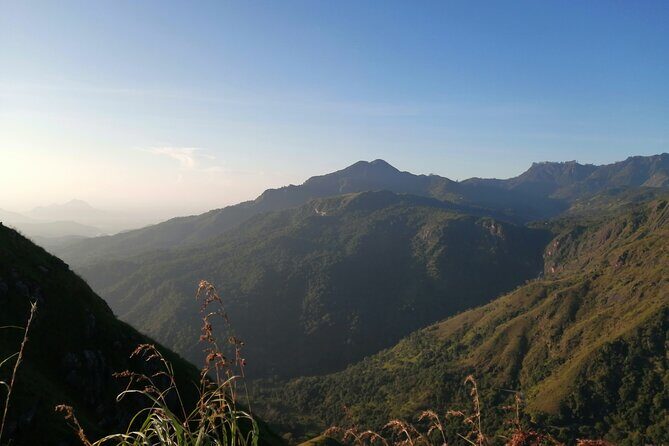 Explore the best of Ella. Hiking, waterfalls and cultural tour - Who Will Love This Tour?