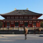 Explore the Timeless Heritage of Nara from Kyoto - Practical Tips and Insights