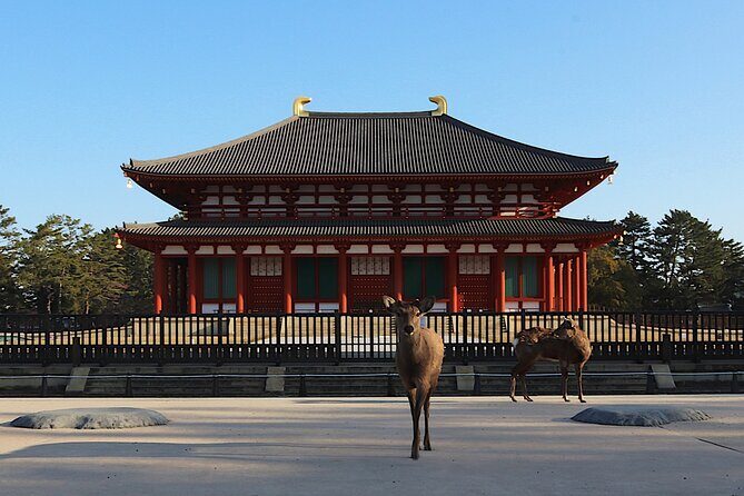 Explore the Timeless Heritage of Nara from Kyoto - Practical Tips and Insights