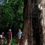 Explore Toraja Culture Heritage in 3 Days from Makassar - The Sum Up